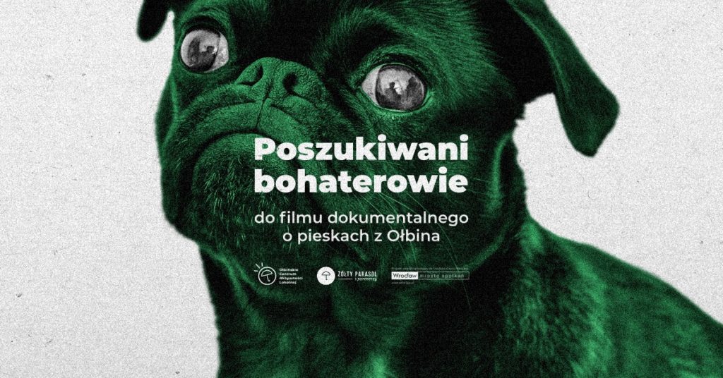 obraz zdjęcie psiaka ciekawskiego świata na środku napis poszukiwani bohaterowie