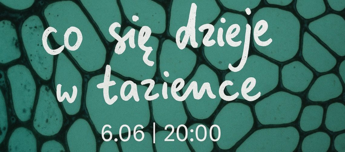 obraz z zielonym tłem przypominającym wzór komórek lub kamieni, na którym białymi, odręcznymi literami napisano: "co się dzieje w łazience"