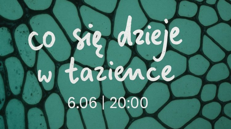 obraz z zielonym tłem przypominającym wzór komórek lub kamieni, na którym białymi, odręcznymi literami napisano: "co się dzieje w łazience"