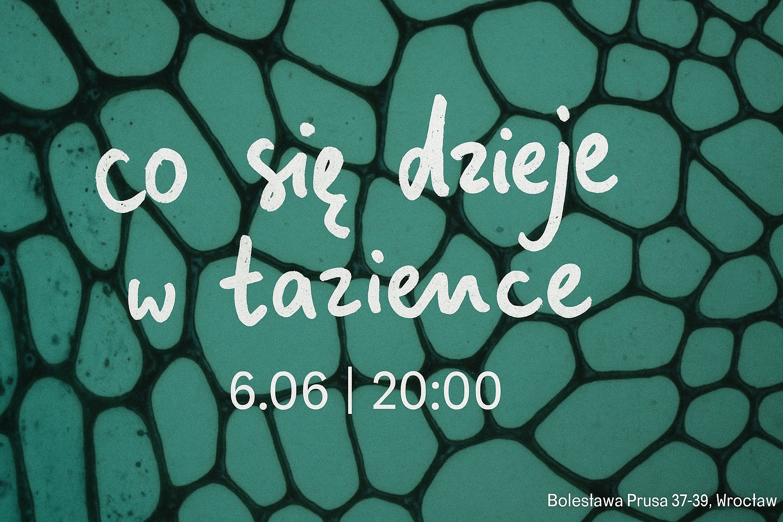 obraz z zielonym tłem przypominającym wzór komórek lub kamieni, na którym białymi, odręcznymi literami napisano: "co się dzieje w łazience"