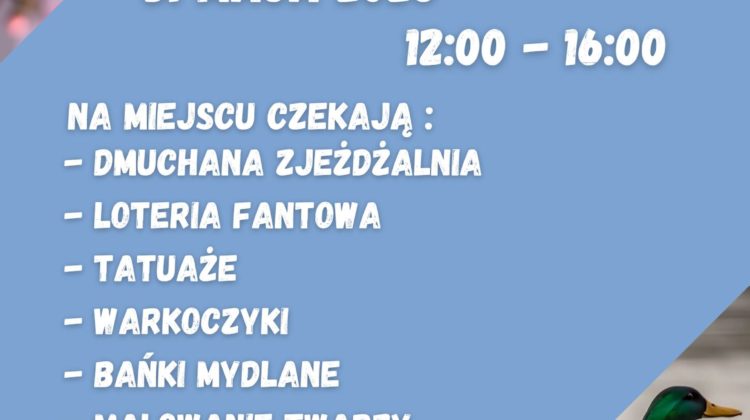 Plakat zapraszający na piknik osiedlowy w parku. Tło jest głównie jasnoniebieskie, w lewym górnym rogu widoczne są różowe kwiaty, a w prawym dolnym rogu lecąca kaczka o brązowo-szaro-zielonym upierzeniu i pomarańczowych łapach. Tekst na plakacie: PIKNIK OSIEDLOWY W PARKU TOŁPY 31 MAJA 2026 12:00 – 16:00 NA MIEJSCU CZEKAJĄ: – DMUCHANA ZJEŻDŻALNIA – LOTERIA FANTOWA – TATUAŻE – WARKOCZYKI – BAŃKI MYDLANE – MALOWANIE TWARZY – ZNAKOWANIE ROWERÓW I WIELE INNYCH ATRAKCJI! PRZYGRYWAĆ NAM BĘDZIE STRAŻACKA ORKIESTRA DĘTA Z DŁUGOŁĘKI Na dole są logotypy organizatorów i partnerów, między innymi: MOPS Miejska Biblioteka Publiczna Żółty Parasol i partnerzy MPK Wrocław Hydropolis oraz kilka innych instytucji i stowarzyszeń.